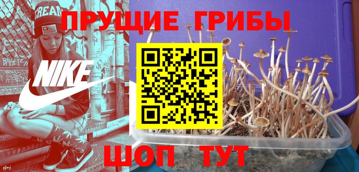 Псилоцибиновые грибы Psilocybine cubensis  Вход с VPN  Псилоцибиновые грибы Magic Shrooms  Ишимбай 