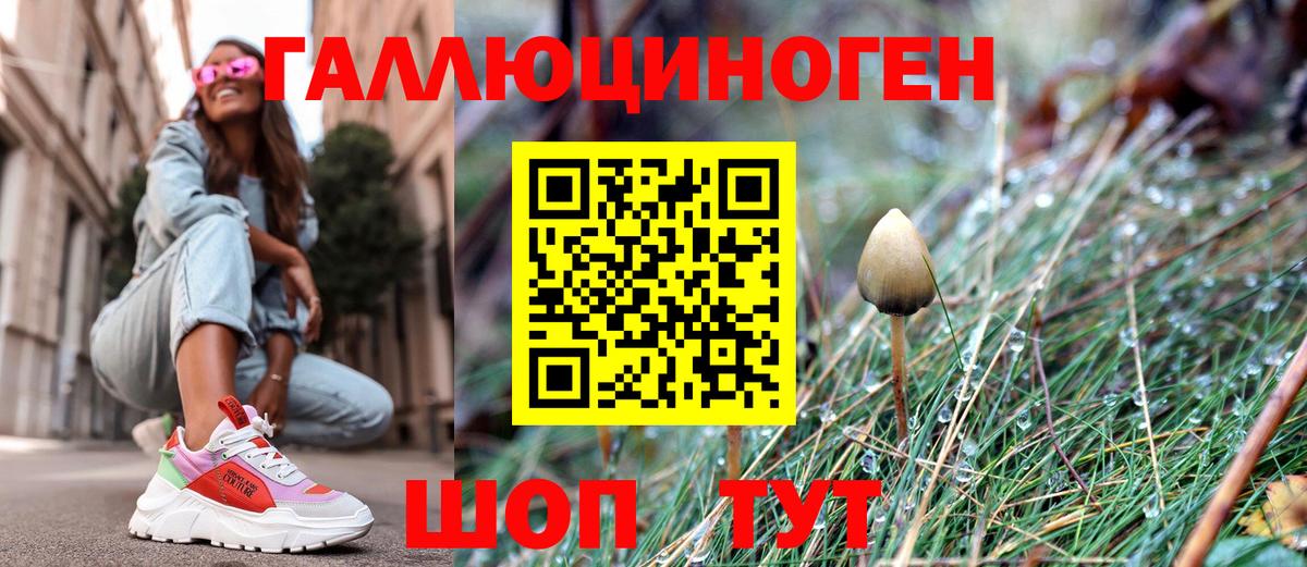 Галлюциногенные грибы мицелий Ишимбай
